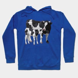 Holstein Friesian Cow and Cute Calf Hoodie